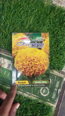Shop Dahlia Seeds: Sow the Seeds of Beauty, Online Dahlia Seed Store: Blossom in Your Backyard