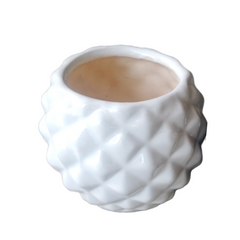 Buy Online: Diamond-Shaped Ceramic Pots - Stylish and Contemporary Planters for Your Indoor and Outdoor Spaces