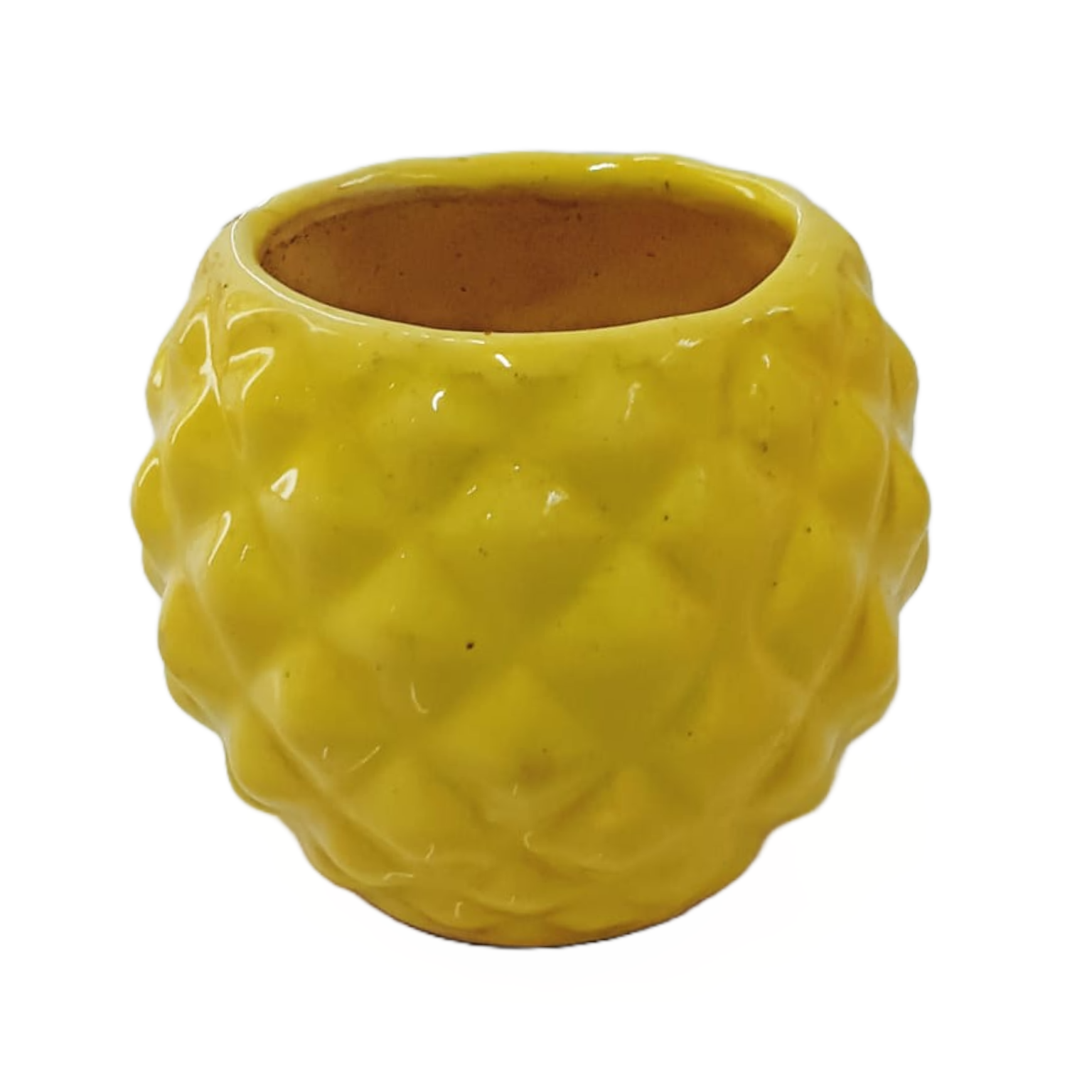 Buy Diamond Ceramic Pots Online - Contemporary Planters for Stylish Home and Garden