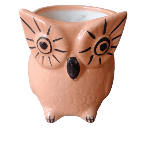 Owl Shaped Ceramic Pot