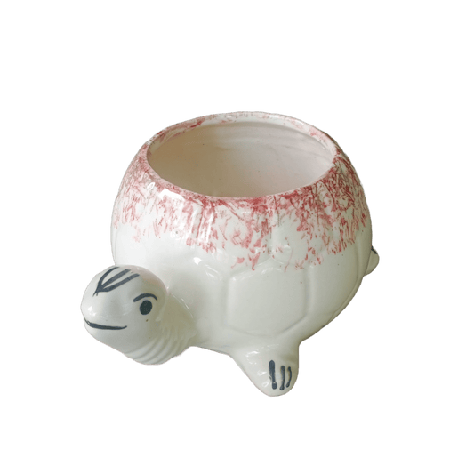 Tortoise Shape - Ceramic Pot